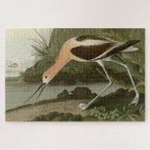 Puzzle Avocet américain d'Audubon's Birds of America (Horizontal)