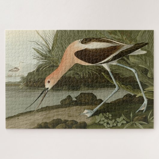 Puzzle Avocet américain d'Audubon's Birds of America (Horizontal)