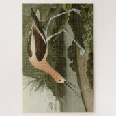 Puzzle Avocet américain d'Audubon's Birds of America (Vertical)