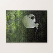 Puzzle Avocette (Horizontal)