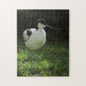 Puzzle Avocette (Vertical)