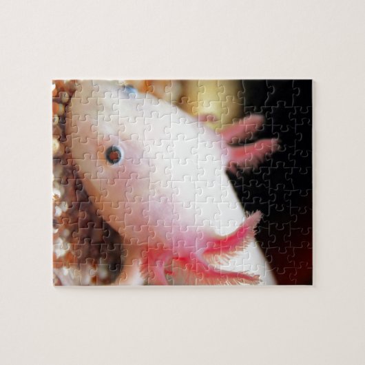 Puzzle Axolotl (Horizontal)