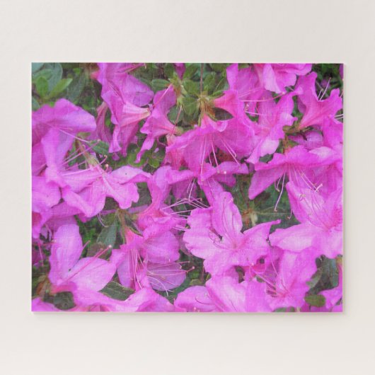 Puzzle "Azalea Blooms" (Horizontal)
