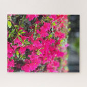 Puzzle Azalée rose vif, Séoul (Horizontal)
