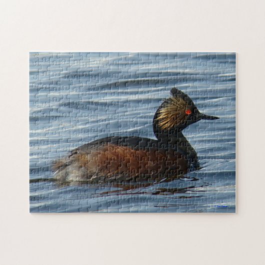 Puzzle B1 Grèbe comestible (Horizontal)