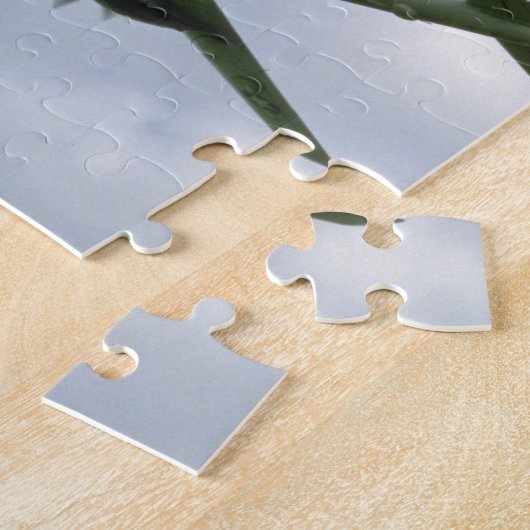 Puzzle B29 de dessous. (avions de plane_WWII (Côté)