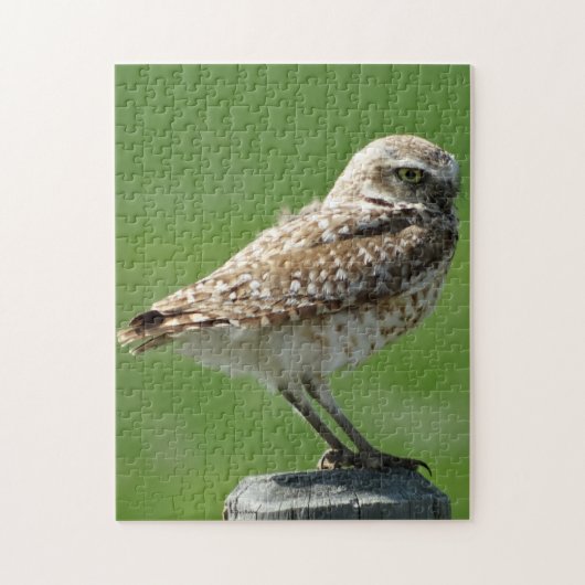 Puzzle B56 Hibou des terriers (Vertical)