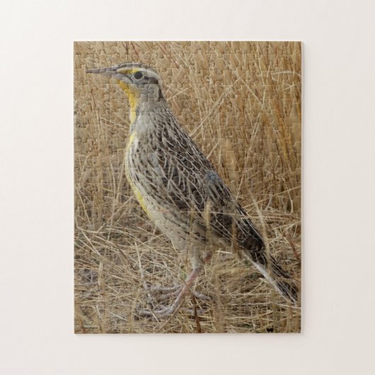 Puzzle B57 Meadowlark occidental (Vertical)