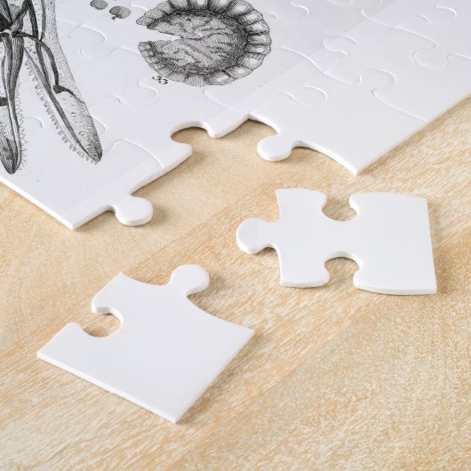 Puzzle B&W Science Microbiologie Magnification Microscopi (Côté)