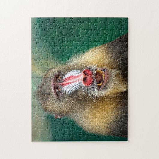 Puzzle Baboon du Botswana (Vertical)