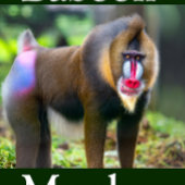 Puzzle Baboon singon