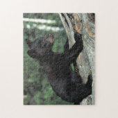 Puzzle Baby Black Bear Cub (Vertical)