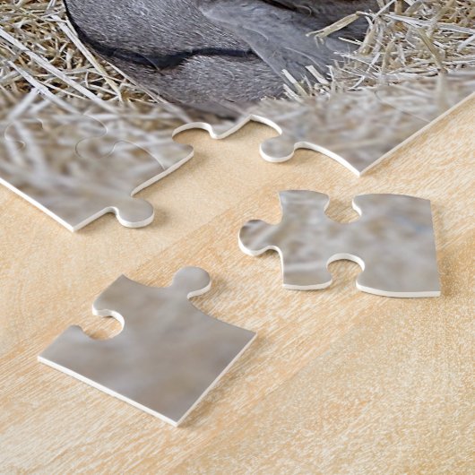 Puzzle Baby Chèvres (Côté)