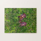 Puzzle Baby Chipmunks Premier Jour #1 Animal Art (Horizontal)