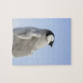 Puzzle Baby Empereur Penguin, île de Snow Hill (Horizontal)