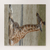 Puzzle Baby Giraffe (Horizontal)