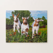 Puzzle "Baby Goats" (Horizontal)