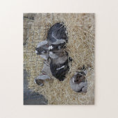 Puzzle Baby Goats Legpuzzel (Verticaal)