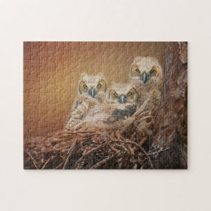 Puzzle Baby Great Horned Owls Photography