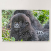 Puzzle Baby Mountain Gorilla (Horizontal)