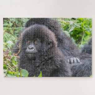 Puzzle Baby Mountain Gorilla