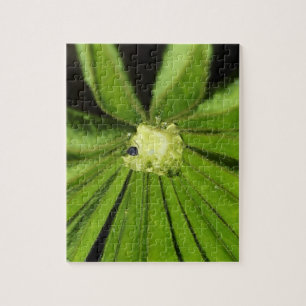 Puzzle Baby Palm Plante par Shirley Taylor