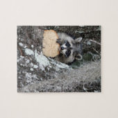 Puzzle Baby Raccoon (Horizontal)