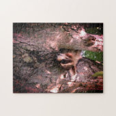 Puzzle Baby Raccoon (Horizontal)