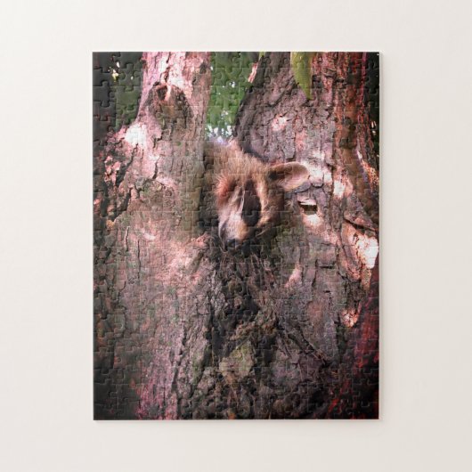 Puzzle Baby Raccoon (Vertical)
