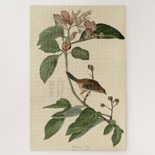 Puzzle Bachman's Finch (Sparrow) Audubon Birds of America (Vertical)