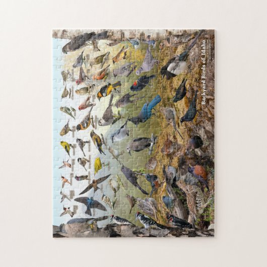 Puzzle Backyard Birds of Idaho (Vertical)