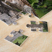 Puzzle Backyard Birds of Illinois (Côté)