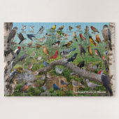 Puzzle Backyard Birds of Illinois (Horizontal)