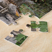 Puzzle Backyard Birds of Michigan (Côté)