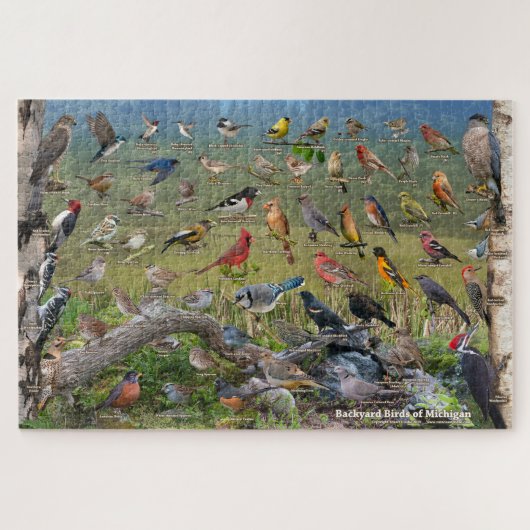 Puzzle Backyard Birds of Michigan (Horizontal)