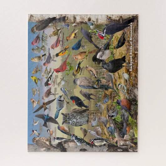 Puzzle Backyard Birds of Minnesota (Vertical)