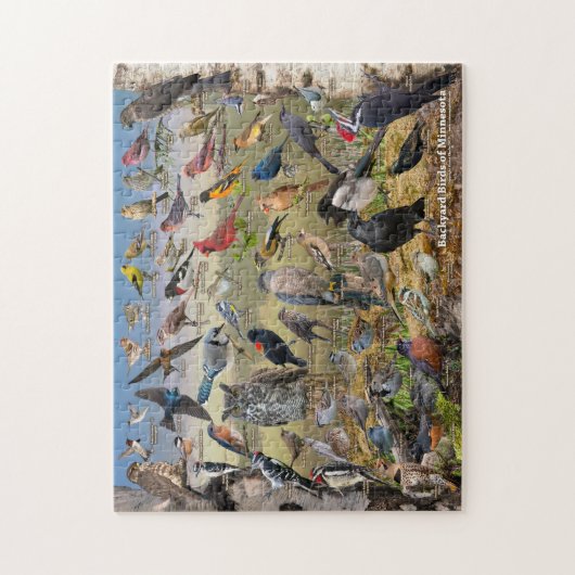 Puzzle Backyard Birds of Minnesota (Vertical)