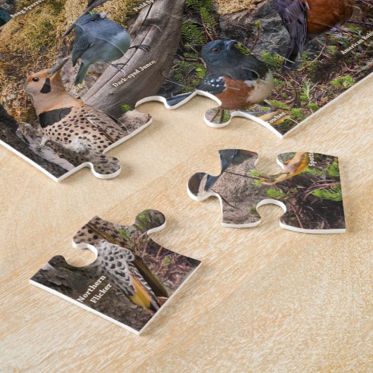 Puzzle Backyard Birds of Nebraska (Côté)