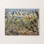 Puzzle Backyard Birds of Nebraska (Horizontal)