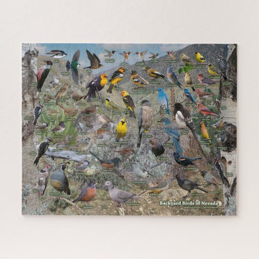 Puzzle Backyard Birds of Nevada (Horizontal)