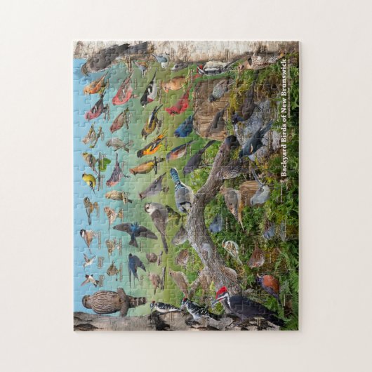 Puzzle Backyard Birds of New Brunswick (Vertical)