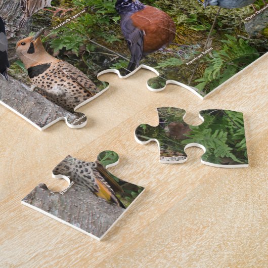 Puzzle Backyard Birds of New Jersey (Côté)