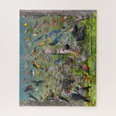 Puzzle Backyard Birds of Northern California (Vertical)