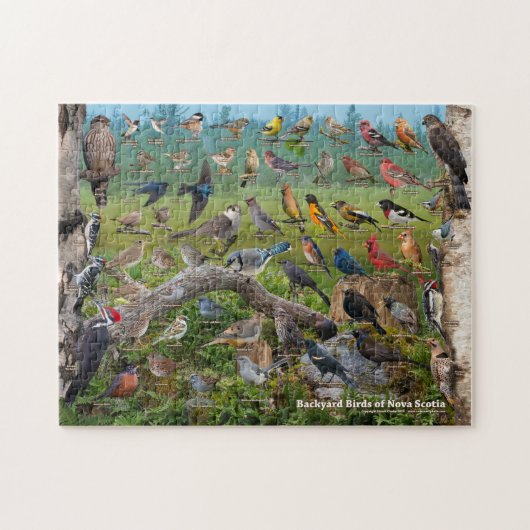 Puzzle Backyard Birds of Nova Scotia (Horizontal)