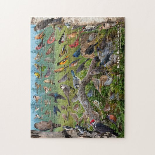 Puzzle Backyard Birds of Nova Scotia (Vertical)