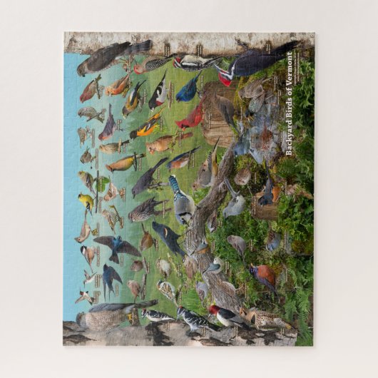 Puzzle Backyard Birds of Vermont (Vertical)