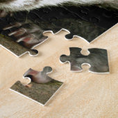 Puzzle Badger - Superbe photo pro ! (Côté)