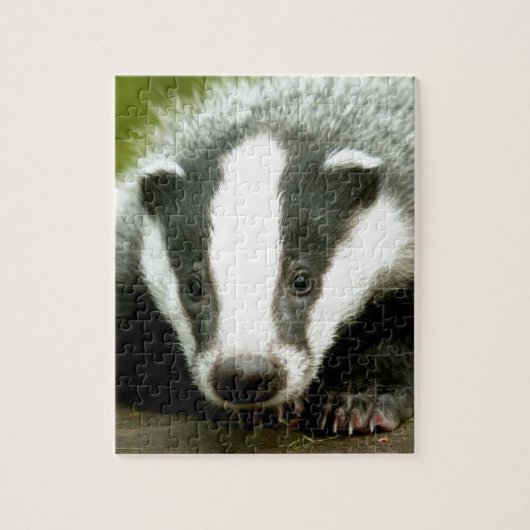 Puzzle Badger - Superbe photo pro ! (Vertical)