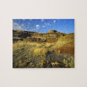 Puzzle Badlands du parc provincial Dinosaur en Alberta,