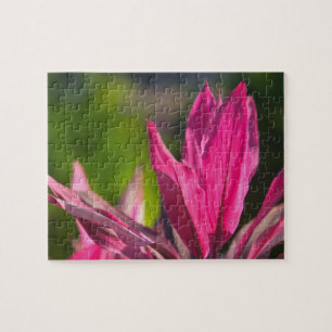 Puzzle BAHAMAS, New Providence Island, Nassau :Paradis